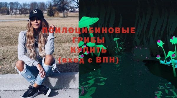а пвп мука Алзамай