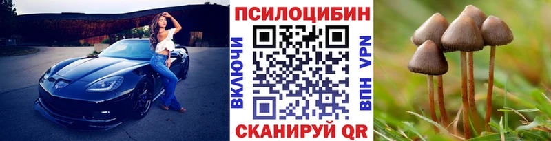 даркнет какой сайт ОМГ ОМГ зеркало Анапа Псилоцибиновые грибы мухоморы